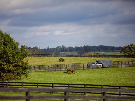 Economic Development in Kentucky